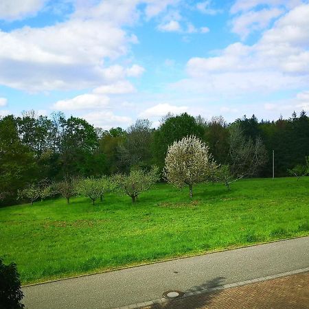 Ein Appartement Und Ein Komfortzimmer In Malsch, Zwischen Karlsruhe, Rastatt Und Baden-Baden Malsch  Exterior foto